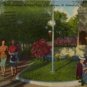 St. Petersburg Florida Postcard, Williams Park, Full Color c.1949