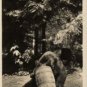 Washington Postcard, Black Bear Eating Garbage in Rainier Nat'l Park, Real Photo c.1947