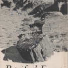 Petrified Forest National Monument Arizona Guide Book c.1949