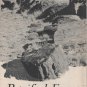 Petrified Forest National Monument Arizona Guide Book c.1949