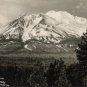 California Postcard, Mt. Shasta from Pacific Highway c.1949