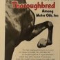Kendall Oil Company Ad with Thoroughbred Horse, Full Color c.1951