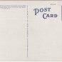 Florida Landscape Postcard, Tamiami Trail Highway c.1926