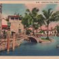 Coral Gables Florida Postcard, Swimmer in Venetian Pool c.1934
