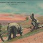 Rapid City South Dakota Postcard, Dinosaur Park in The Black Hills, Full Color c.1940