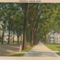 Bangor Maine Postcard, Stately Houses Down Broadway, Full Color c.1939