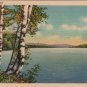 Maine Postcard, Peaceful Lakeside Scene with Birch Trees, Full Color c.1933
