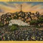 Riverside California Postcard, Easter Sunrise Services at Mt. Rubidoux, Full Color c.1932