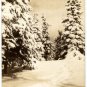 Manistique Michigan Card, Tall Pines & Deep Snow, Black & White c.1941