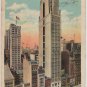 New York City Card, Bush Terminal Sales Building, Full Color c.1925