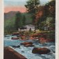 Great Smoky Mountains National Park Tennessee Postcard, East Prong Little River c.1942