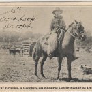 Delaware Ohio Postcard, Shows Cowboy Texas Jack Brooks on Federal Cattle Range c.1927
