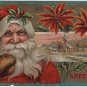 Christmas Postcard, Santa in Red with Brown Mittens, Poinsettias & Holly Trim, Embossed c.1910
