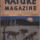 Nature Magazine, Timber Wolves, Blue Hexom Cover c.1947