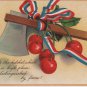 George Washington Bday Postcard, Axe & Cherries c.1909