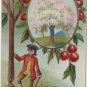 George Washington Bday Postcard, Cherry Trees & Axe c.1908