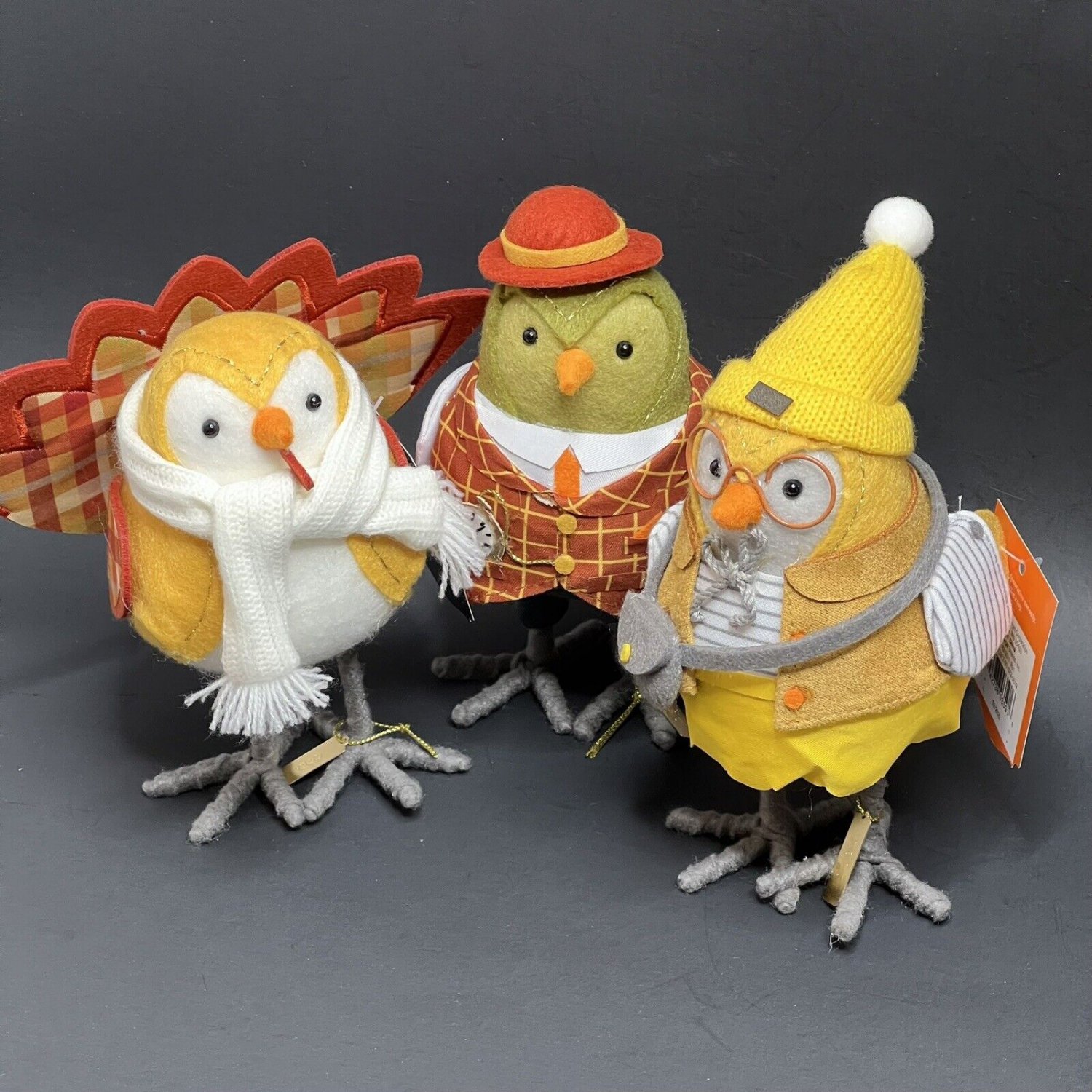 Halloween Thanksgiving Featherly Friends Birds Hyde & Eek Oats Apple