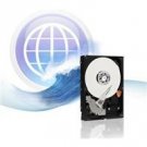 160 GB Hard Drive, Western Digital SATA