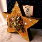 Disney Lighted Star Mickey