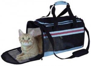 Trend Carrier Large Black