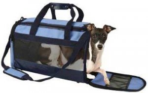 Trend Carrier Large Blue