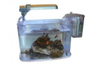 Mini Deco 2 Gal Kit