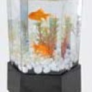 1 Gallon Mini Hexagon Tank Kit (7.5 X 7 X 11.75)