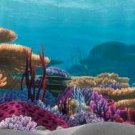 Tetra Disney Aquarium Background - Coral Reef