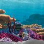 Tetra Disney Aquarium Background - Coral Reef