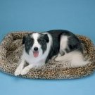 Prec Snoozy Cheetah Print Crate Bed 25 X 20