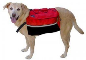 Outward Hound Backpack Large