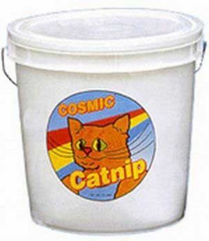 Catnip 5lb Bulk Pail