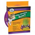 Vita - greens Plastic Bowl & Grass Combo