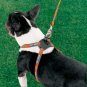 Cat Harley Adj. Size Right 3/8 Harness - cob