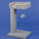 Kitty Cactus W tray & Toy 24