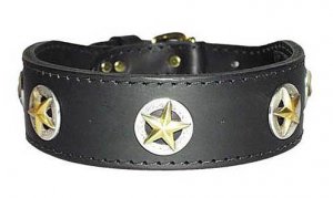 2" Ranger Collar