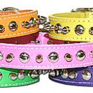 Spike & Studded Leather Collar