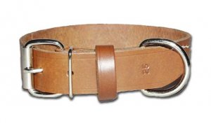 1-1/4" RG Bully collar