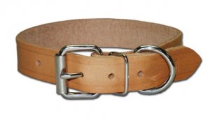 RG Bully collar