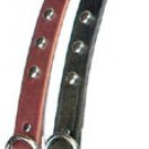 Latigo Studded Collar