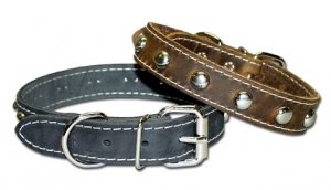 Studded Leather Collar