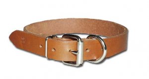 3/4" DF Bully collar