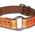 1" RC Bully Reflecto Collar