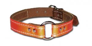 1" RC Bully Reflecto Collar