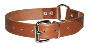 3/4" RC Bully collar