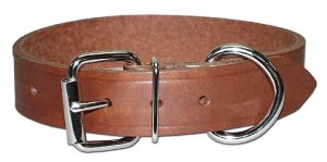 Bully collar