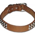1" RG Cone-studded Bully collar