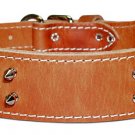 2 Taper Protector Spiked collar