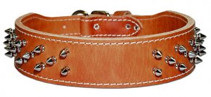 2 Taper Protector Spiked collar