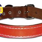 1" RG Bully Reflecto collar